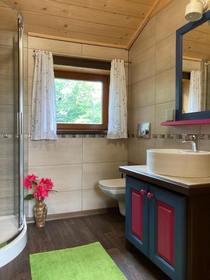 Casa Mountana Daire Kościelisko Dış mekan fotoğraf