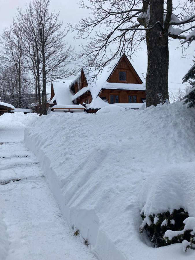 Casa Mountana Daire Kościelisko Dış mekan fotoğraf
