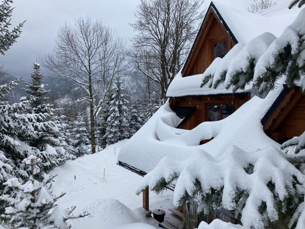 Casa Mountana Daire Kościelisko Dış mekan fotoğraf